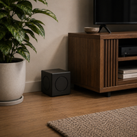 MiniMe DSP P63B V2 6.5" Subwoofer