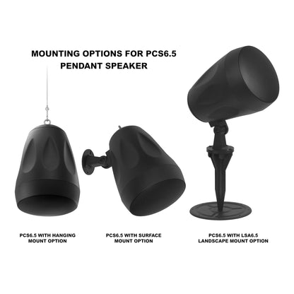 PCS6.5 Pendant Speaker